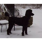 Becky Kincaid's photo