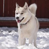Colleen Haffner-skala's photo