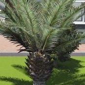 Foto von يوسف ملوان