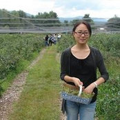 Jing Liang's photo