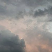 Foto von Lisa Pioli