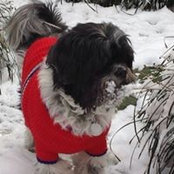 Kim Binnicker's photo