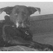 STephanie Harling's photo