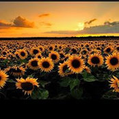 Priscilla Rolfe-Carrozza's photo