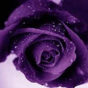 Cheryl Jenkins's photo