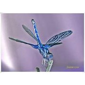 Linda Emmons Baldwin's photo