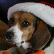 Melissa Parker's photo