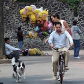 Foto von Jesus Rivas