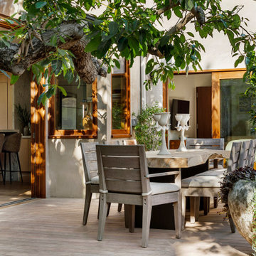 Avocado House