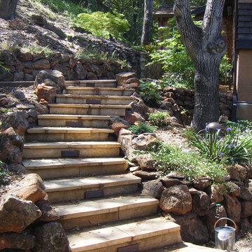 Xeriscaping and Misc.