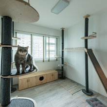 Spotted! ## Apartments Custom-Designed With Pets in Mind