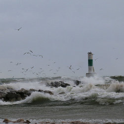Photography - Photographs