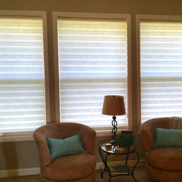 Hunter Douglas Living Room Shades