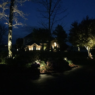 Home Accent Lighting