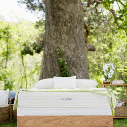 Organic - Mattresses