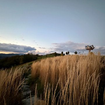 Looking down a secondary path.