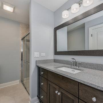717 S. Sleight - Naperville