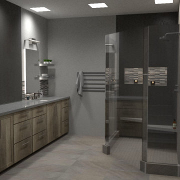 Modern Master Gray Bathroom - Rendering