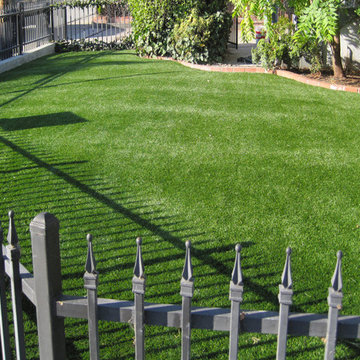 Synthetic Lawns