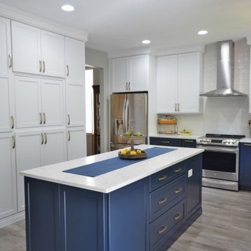 S Kirk Court - Blue & White Kitchen
