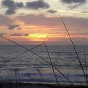 Conni Lashley's photo