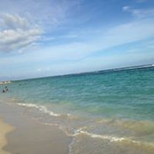 Lyndon Brown's photo