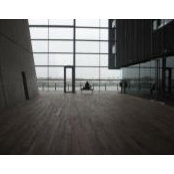 Janis Vigups's photo
