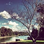 Willie Guina's photo