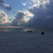 Misty Phillips's photo