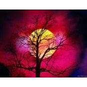 Margaret Brandts foto