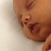Nicolas Dona's photo