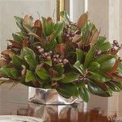 Terrie Williams-Hickerson's photo