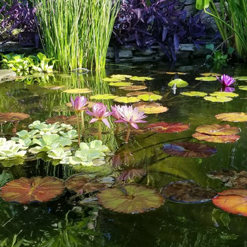 John's Garden Sanctuary