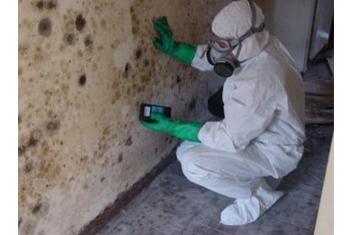 MOLD DETECTION Services Provided Mill Valley, CA