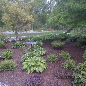 Shade Garden