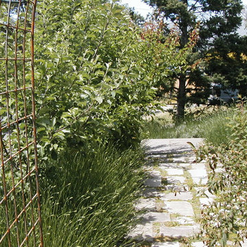 Residential Gardens