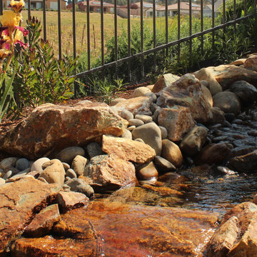 Arresting Dunes - Coastal Gem Garden
