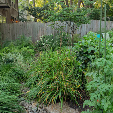 My Houzz: Meticulous Details Revive a Century Old Louisville Home