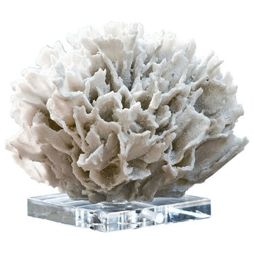 Ribbon Coral, White