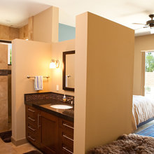 Master Bathroom Shower