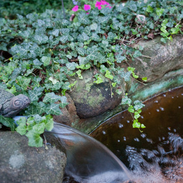 Old Beechwold Woodland Pool Garden