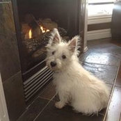 Foto von Kathy Franklin