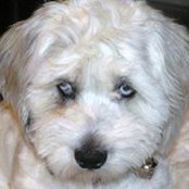 Jill DeTray's photo