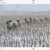 Barbara Moon's photo