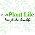 Urban Plant Life's profile photo