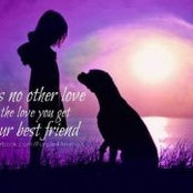 Pam Cress's photo