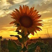 Foto de Colette Johnson