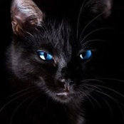 Снежана Олеговна's photo