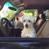 Margaret Angell DeVaux's photo