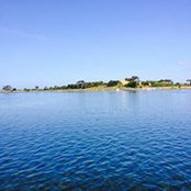 Antonio Arnone's photo